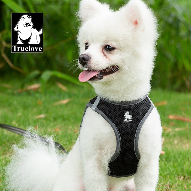 Truelove Mesh Harness & Leash Set for Cats & Small & Medium Dogs (Black)
