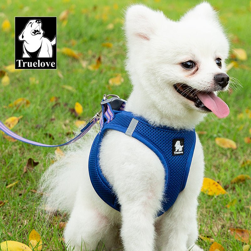 Truelove Mesh Harness & Leash Set for Cats & Small & Medium Dogs (Royal Blue)