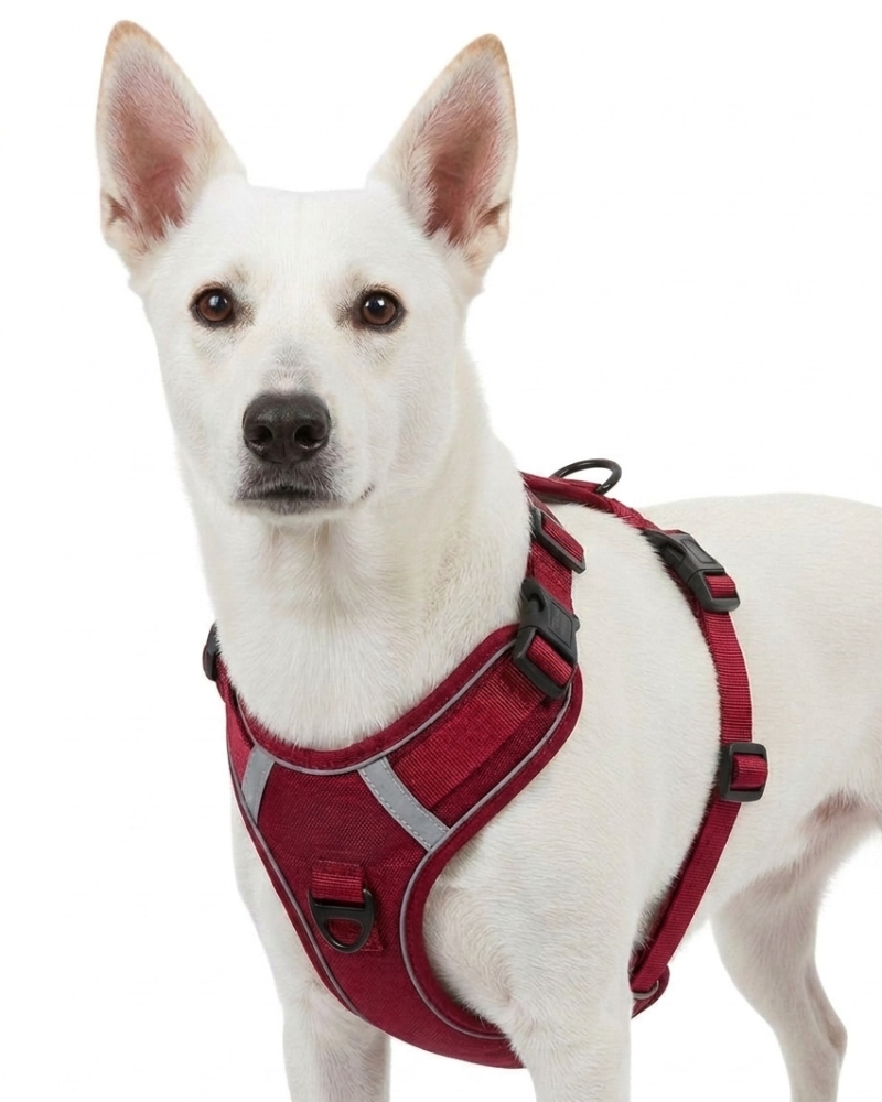 Skatrs Fully Padded Reflective Harness for Dogs & Cats (Maroon) - Image 3